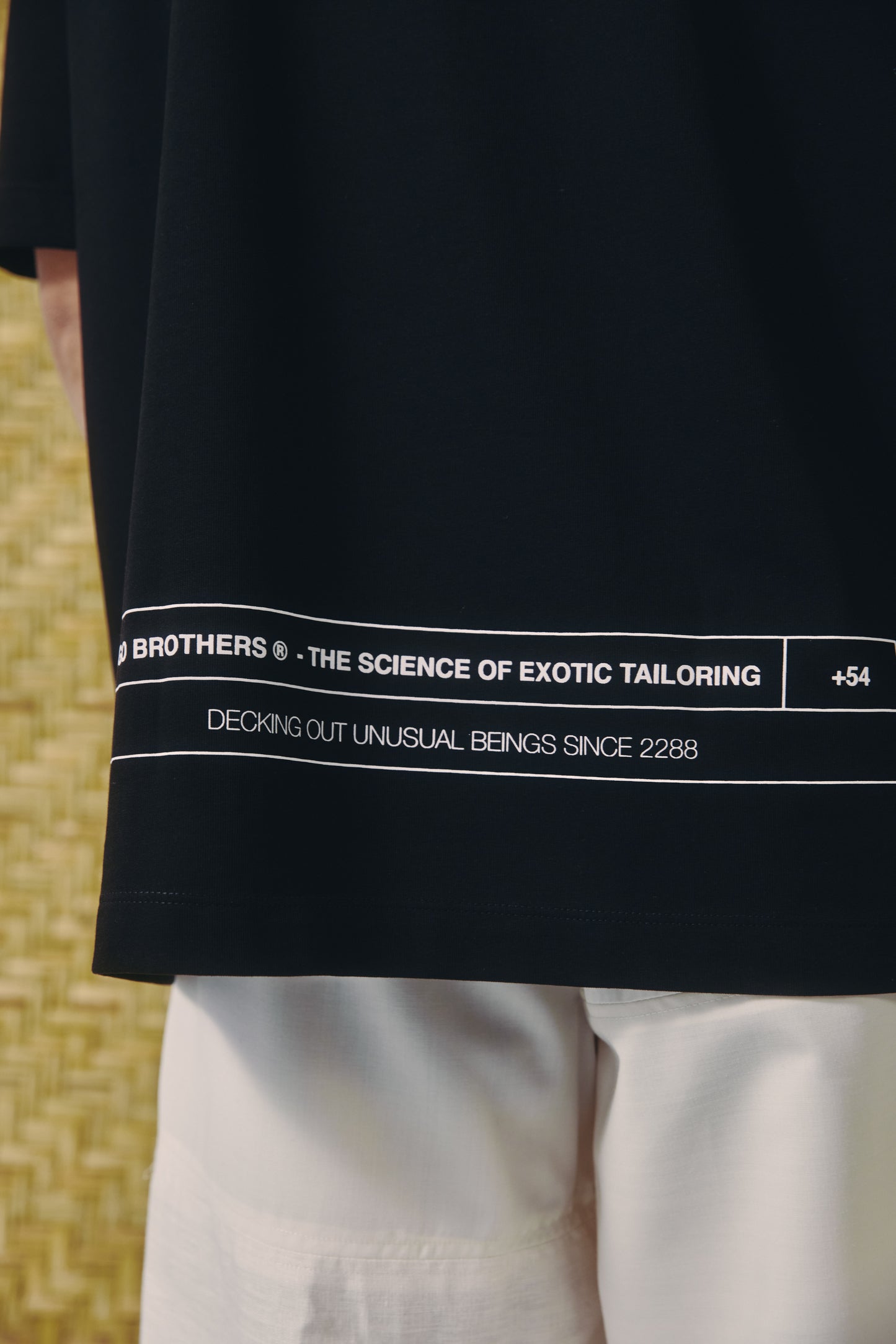 
                  
                    ECHOES OF THE SUN - CAMISETA
                  
                