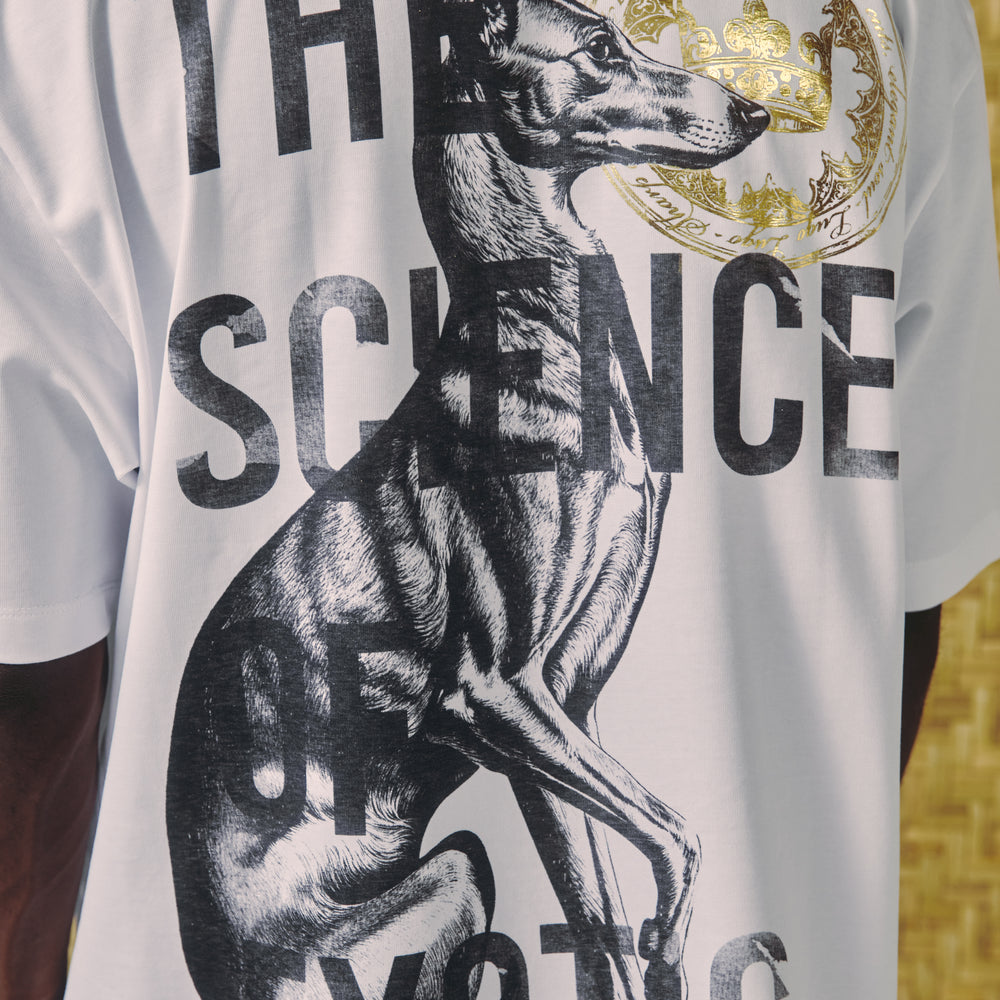 
                  
                    GREYHOUND - CAMISETA
                  
                