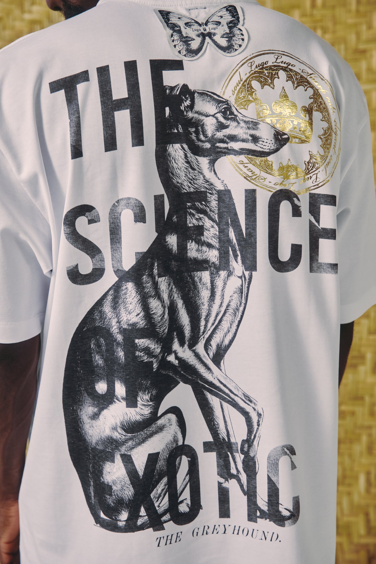 
                  
                    GREYHOUND - CAMISETA
                  
                