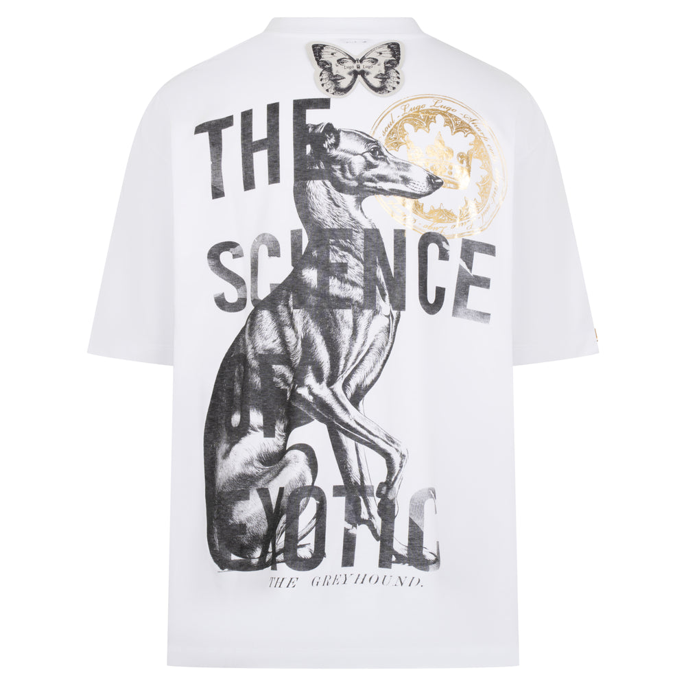 
                  
                    GREYHOUND - CAMISETA
                  
                